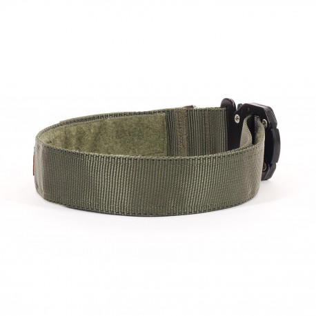 Redline K-9 MaxTac Service ID Collar With Cobra Buckle - Coyote Brown