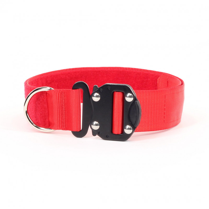 Halsband Diensthund KILO 9 Rot