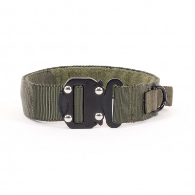 Hound collar KILO 9