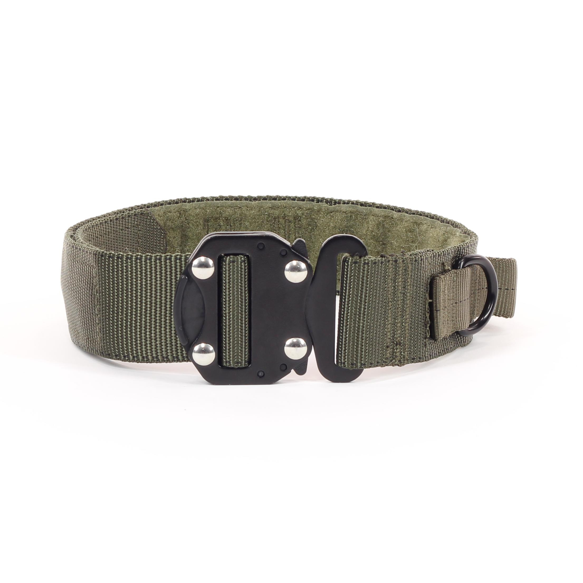Hound collar with handle and metal buckle