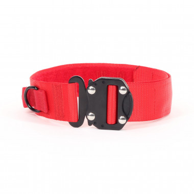 Hound collar KILO 9