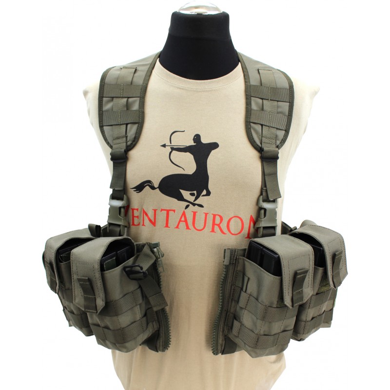 Non-modulaire Split Front Chest Rig