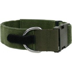 Dog Collar Chester