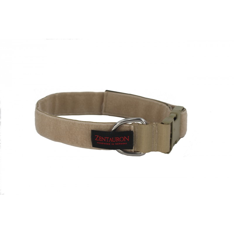 Dog Collar Chester