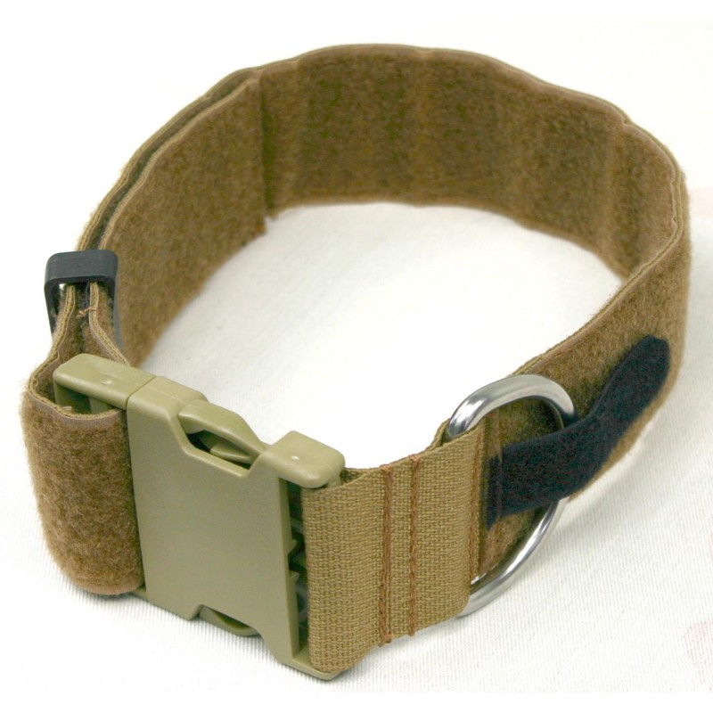 Dog Collar Chester