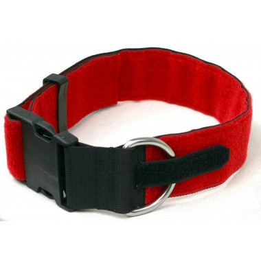 Dog Collar Chester