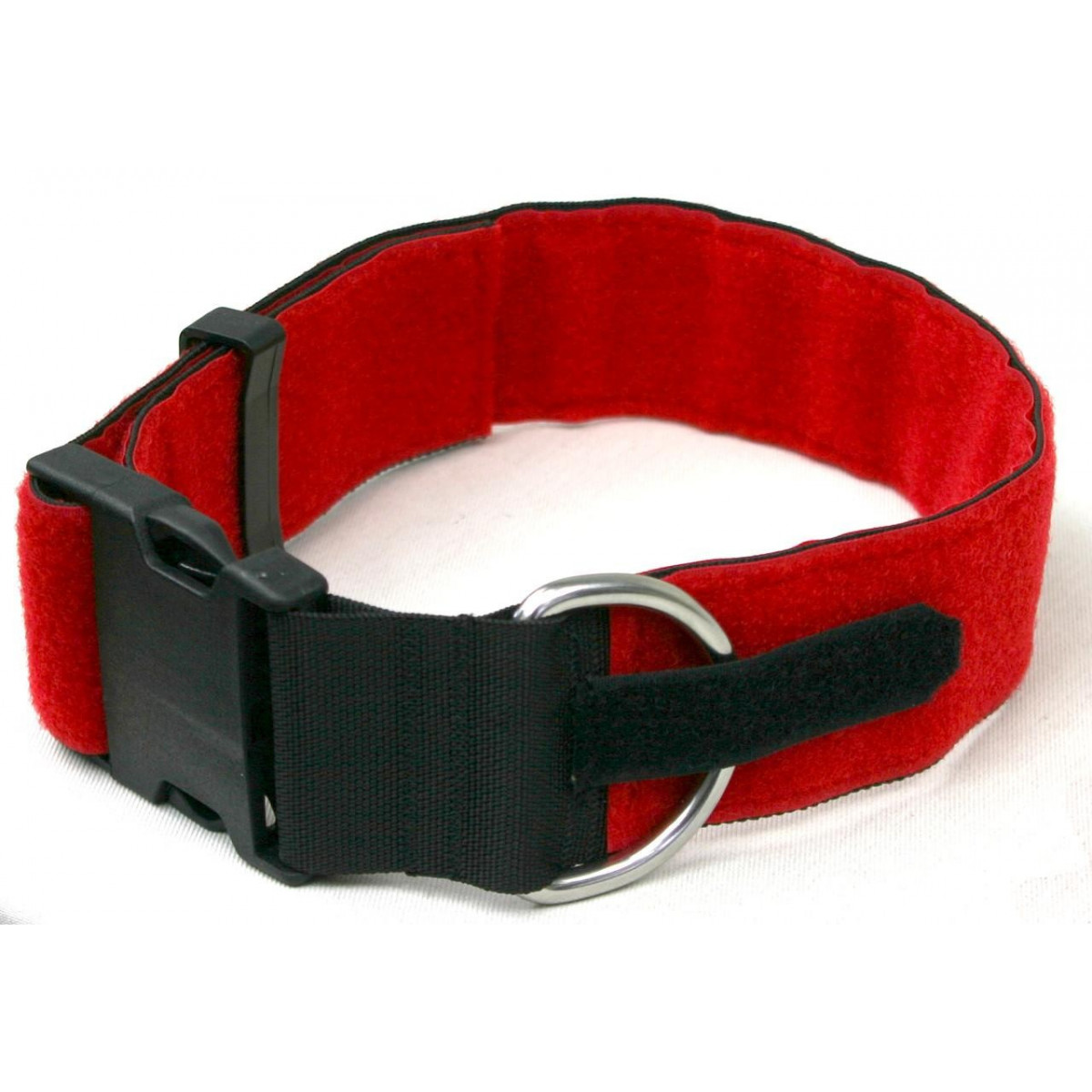 Dog Collar Chester