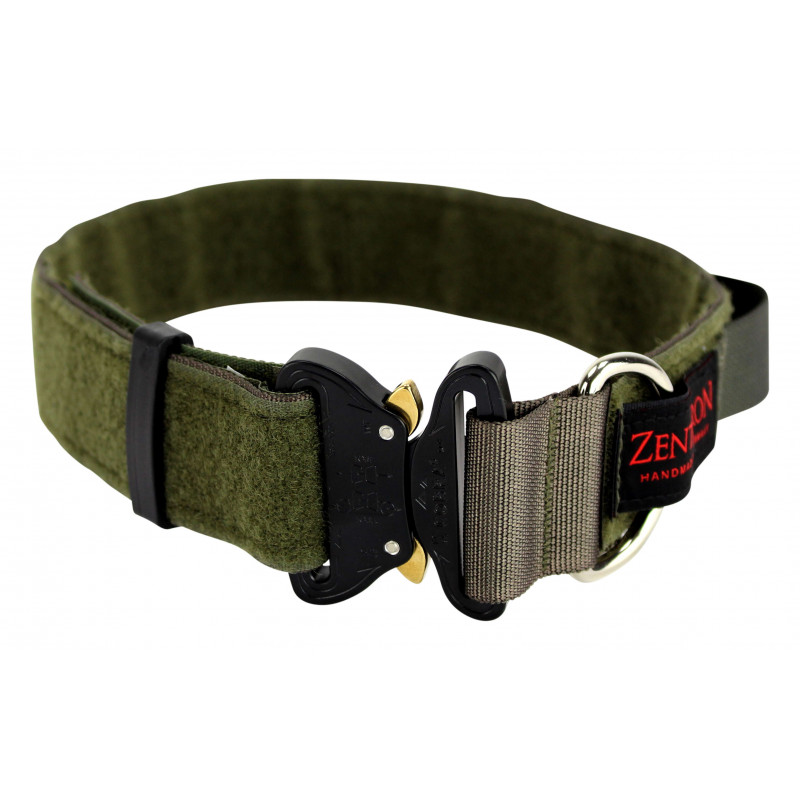 Einsatzhalsband Chester Rugged Controll 4cm 