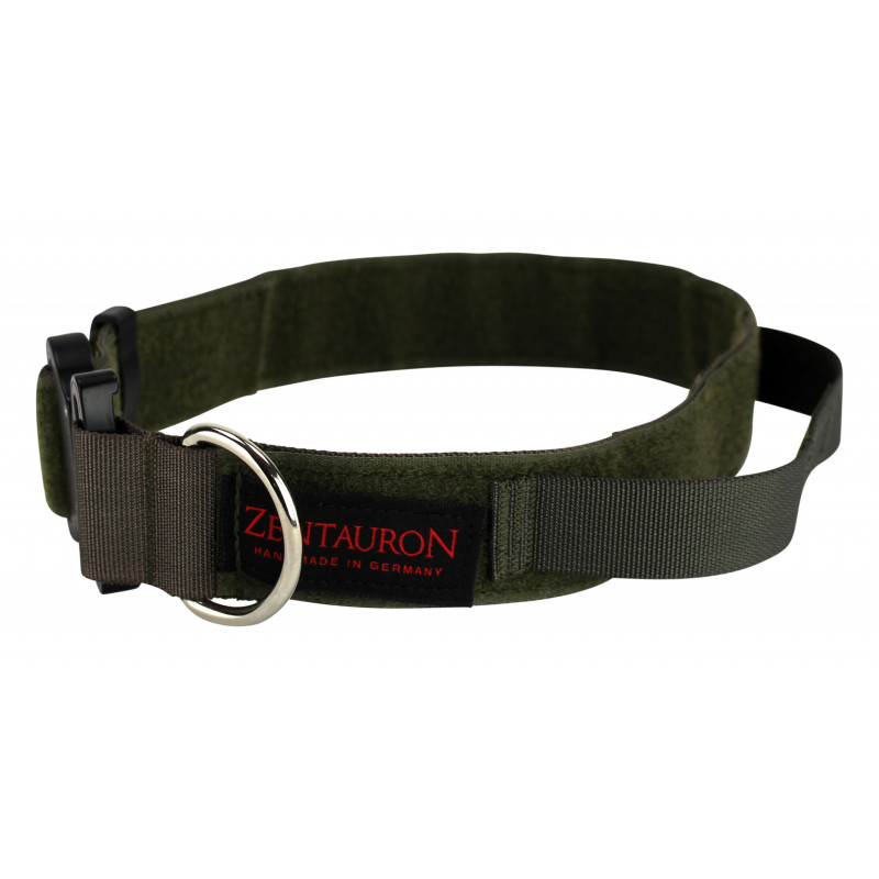 Einsatzhalsband Chester Rugged Controll 4cm 