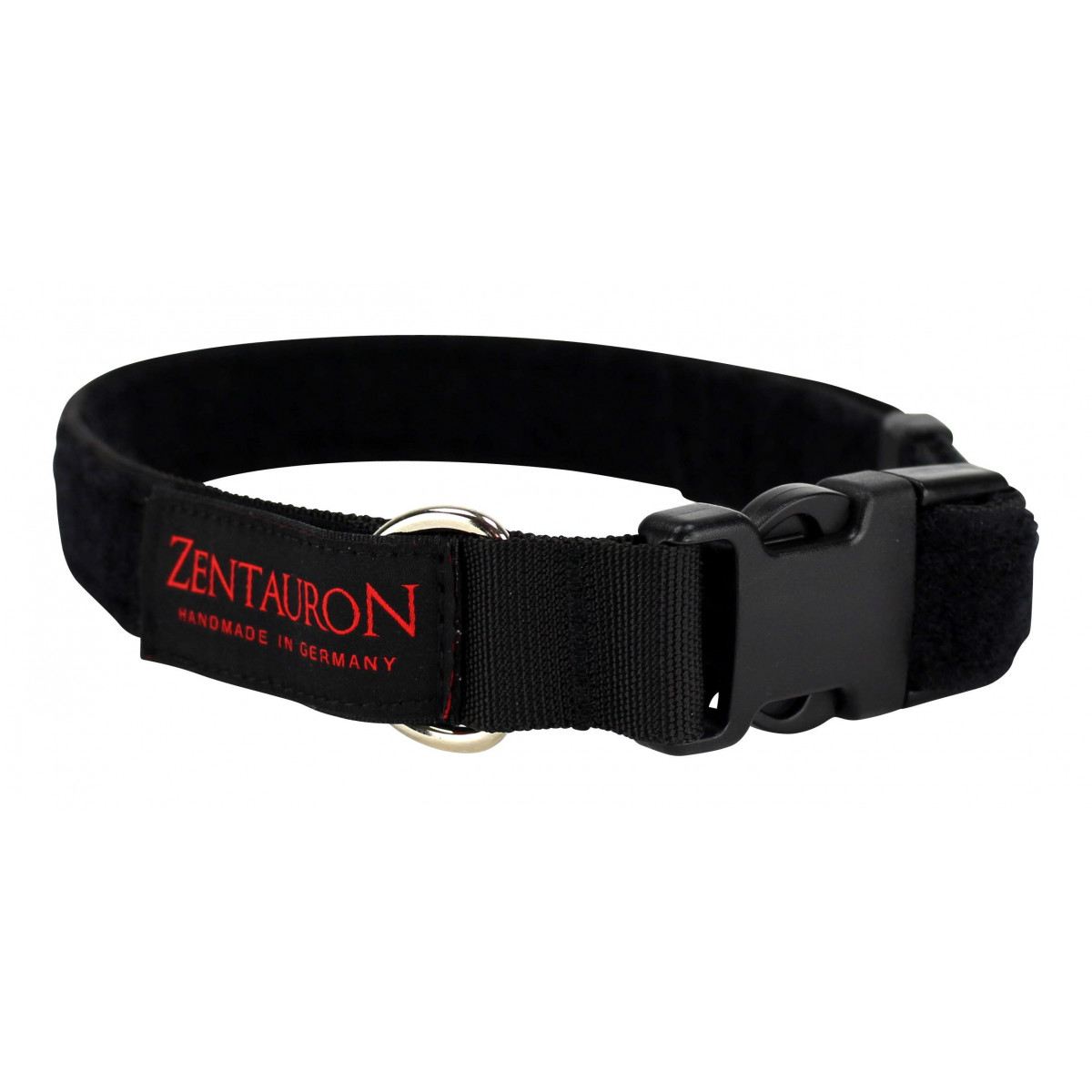 Dog Collar Chester