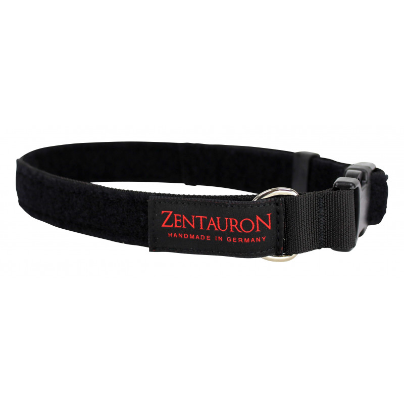 Dog Collar Chester