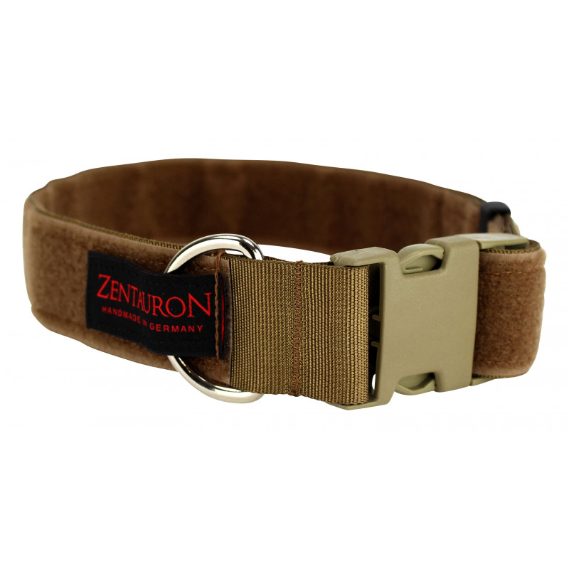 Dog Collar Chester