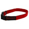 Halsband komplett aus Klett Rot 2,5cm