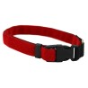 Halsband komplett aus Klett Rot 2,5cm